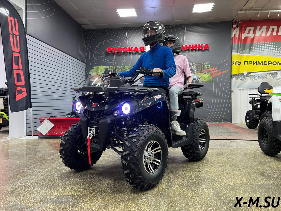 Квадроцикл PROMAX RENEGADE 280 LONG WINCH PRO (2025) Квадроцикл PROMAX RENEGADE 280 LONG WINCH PRO (2025)
