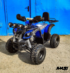 Квадроцикл Grizzly 110